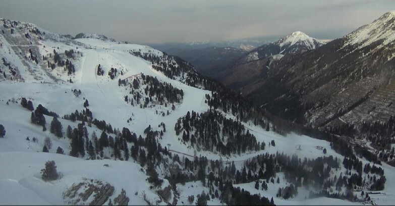 Webcam Pampeago  - Predazzo -  Obereggen - Pista Agnello