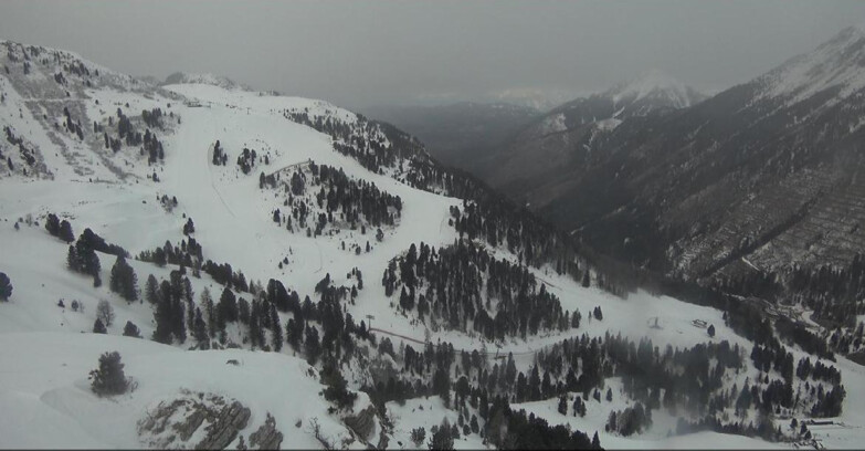 Webcam Pampeago  - Predazzo -  Obereggen - Pista Agnello
