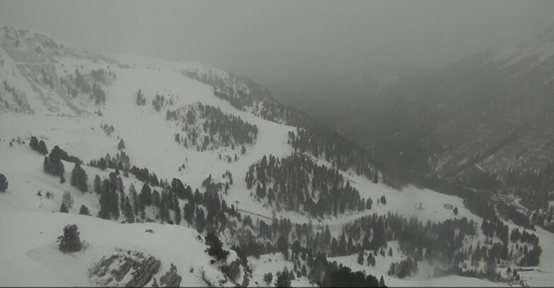 Webcam Pampeago  - Predazzo -  Obereggen - Pista Agnello