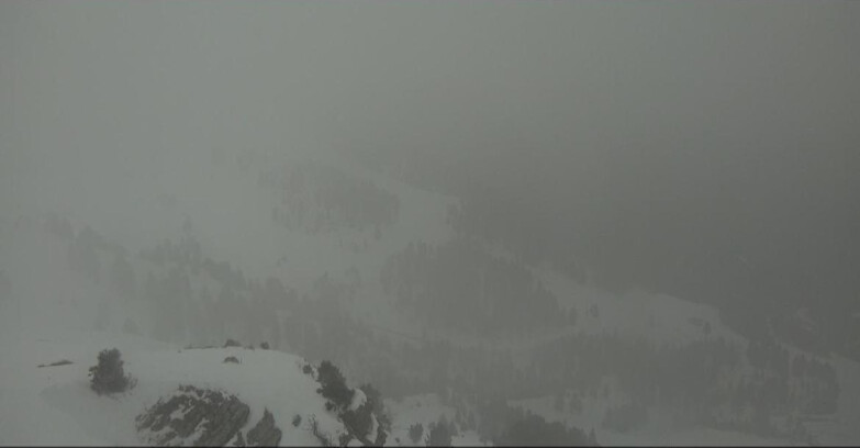 Webcam Pampeago  - Predazzo -  Obereggen - Pista Agnello