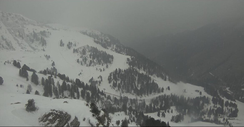 Webcam Pampeago  - Predazzo -  Obereggen - Pista Agnello