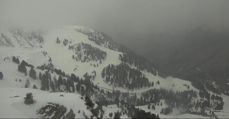 Webcam Pampeago  - Predazzo -  Obereggen - Pista Agnello