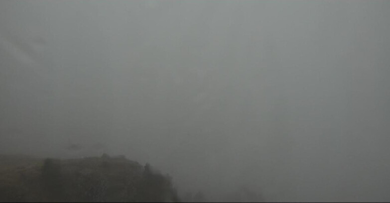 Webcam Pampeago  - Predazzo -  Obereggen - Pista Agnello