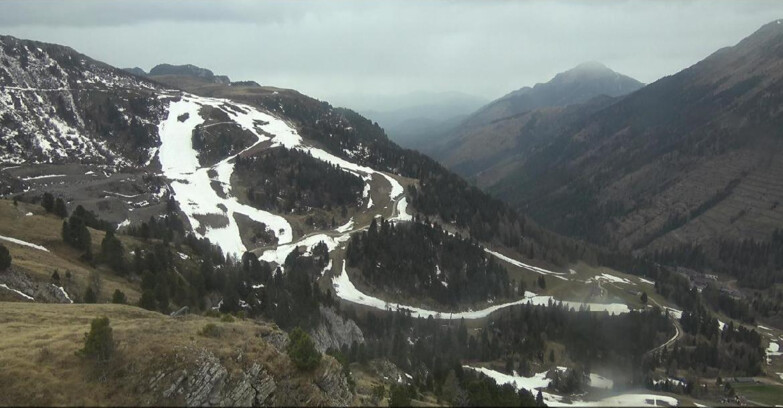 Webcam Pampeago  - Predazzo -  Obereggen - Piste Agnello