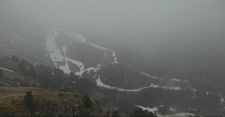 Webcam Pampeago  - Predazzo -  Obereggen - Agnello Slope