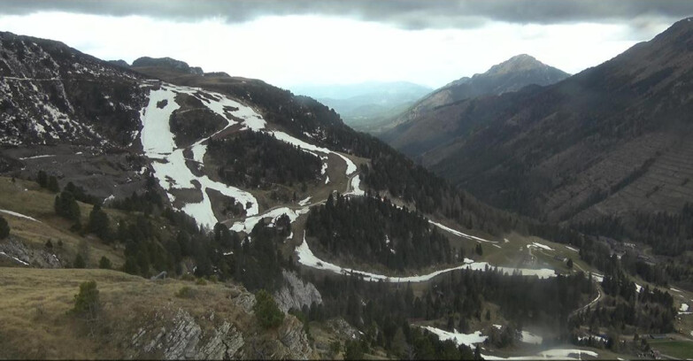 Webcam Pampeago  - Predazzo -  Obereggen - Agnello Slope