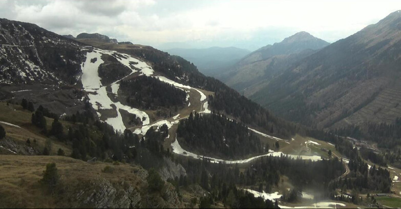 Webcam Pampeago  - Predazzo -  Obereggen - Agnello Slope