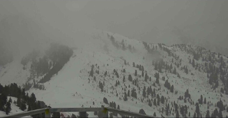 Webcam Alpe Cermis  - Prà Fiorì Val di Fiemme