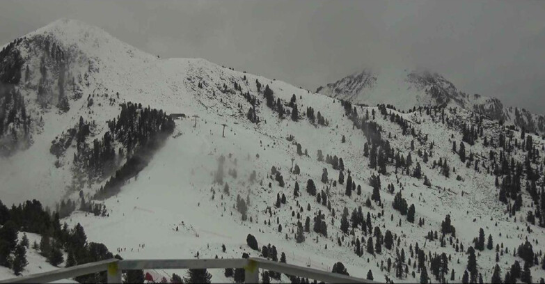 Webcam Alpe Cermis  - Prà Fiorì Val di Fiemme