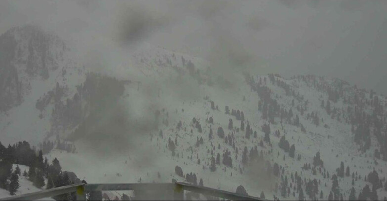 Webcam Alpe Cermis  - Prà Fiorì Val di Fiemme