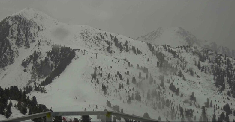 Webcam Альпе-Чермис  - Prà Fiorì Val di Fiemme