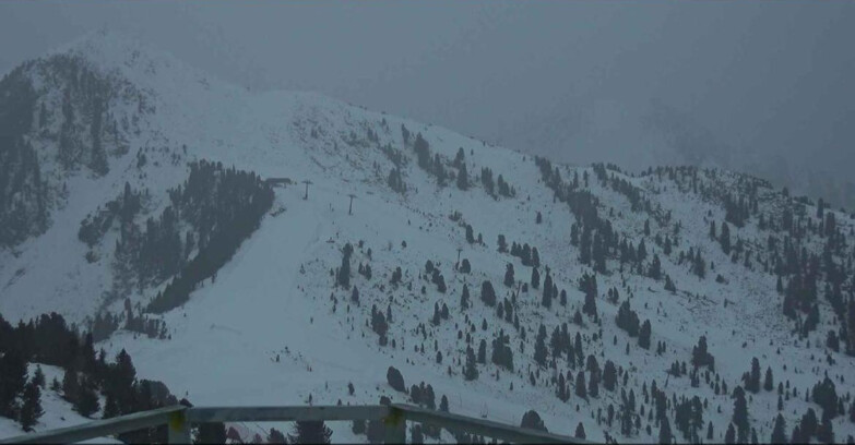 Webcam Alpe Cermis  - Prà Fiorì Val di Fiemme