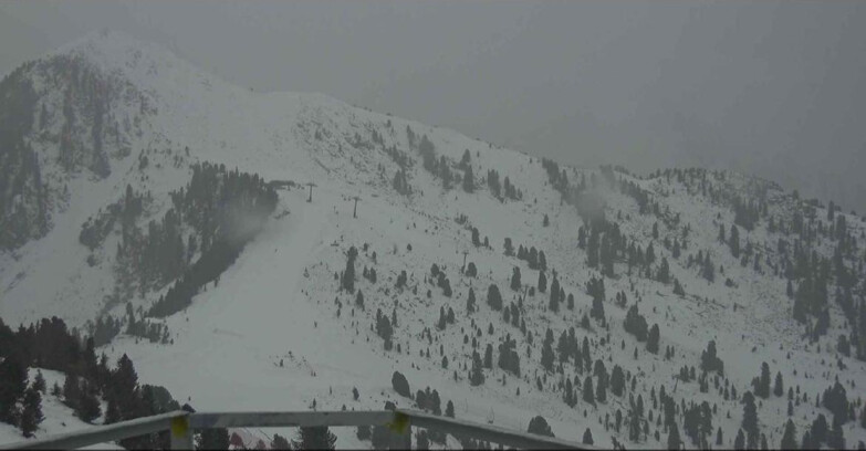 Webcam Alpe Cermis  - Prà Fiorì Val di Fiemme