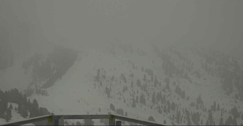 Webcam Alpe-Cermis - Prà Fiorì 