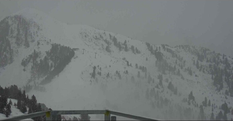 Webcam Alpe-Cermis - Prà Fiorì 