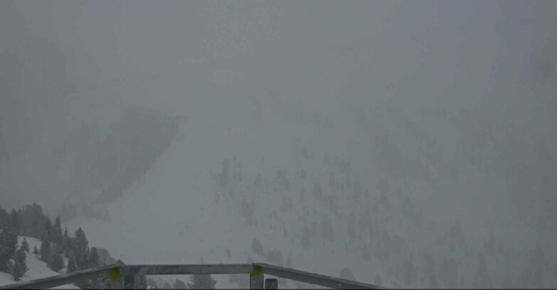 Webcam Alpe-Cermis - Prà Fiorì 