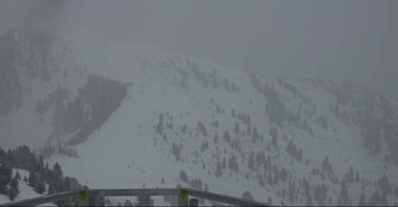 Webcam Alpe-Cermis - Prà Fiorì 