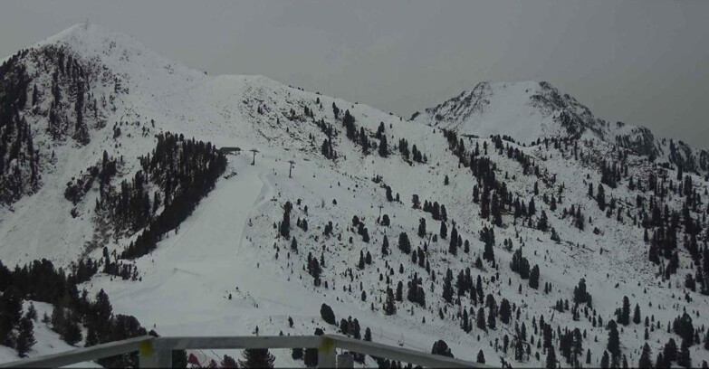 Webcam Alpe-Cermis - Prà Fiorì 