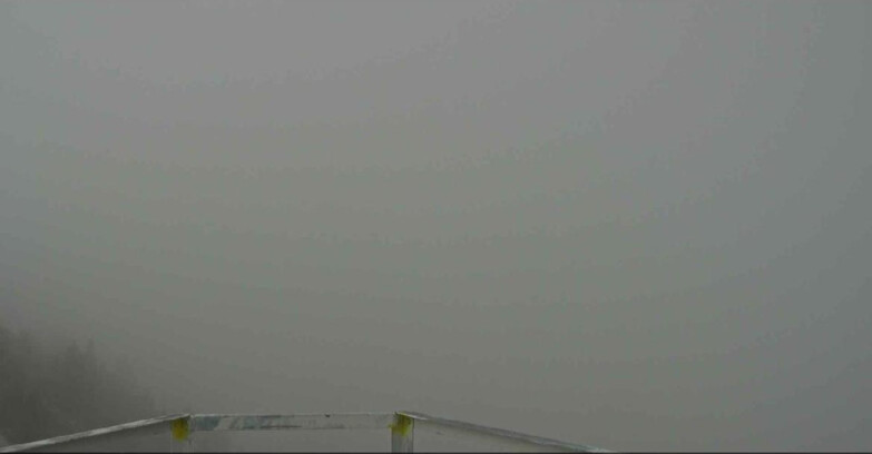 Webcam Alpe Cermis  - Prà Fiorì Val di Fiemme