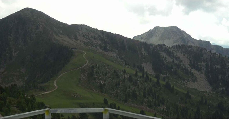 Webcam Alpe Cermis  - Prà Fiorì Val di Fiemme