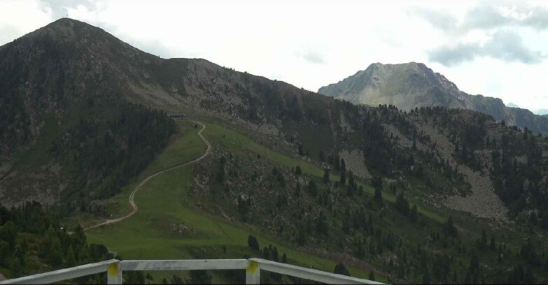 Webcam Alpe Cermis  - Prà Fiorì Val di Fiemme