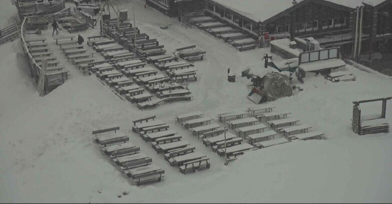 Webcam Alpe-Cermis - Prà Fiorì 