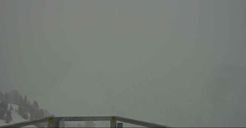 Webcam Alpe-Cermis - Prà Fiorì 