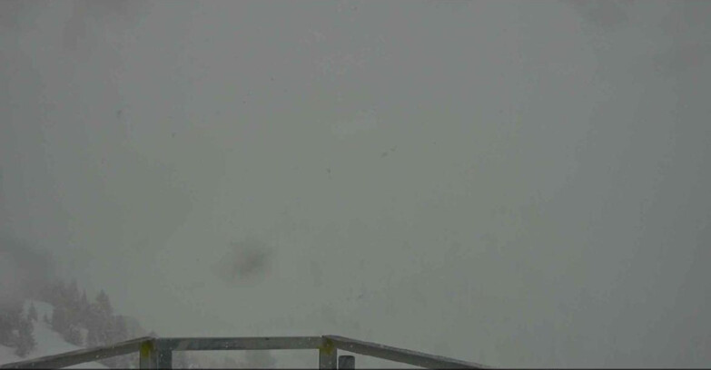 Webcam Alpe Cermis  - Prà Fiorì Val di Fiemme