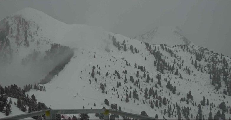 Webcam Alpe-Cermis - Prà Fiorì 