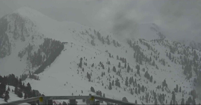 Webcam Alpe Cermis  - Prà Fiorì Val di Fiemme