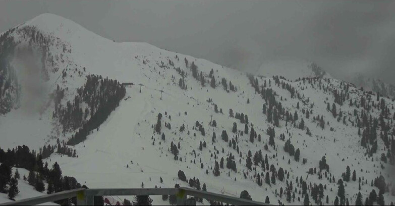 Webcam Alpe Cermis  - Prà Fiorì Val di Fiemme