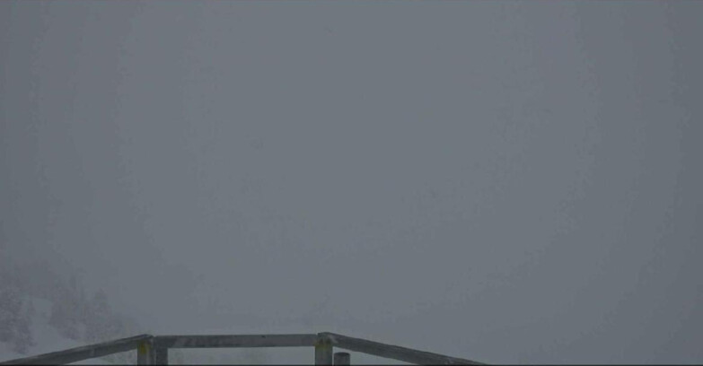 Webcam Alpe-Cermis - Prà Fiorì 