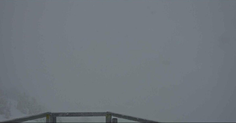 Webcam Alpe-Cermis - Prà Fiorì 