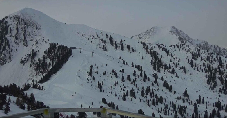 Webcam Альпе-Чермис  - Prà Fiorì Val di Fiemme