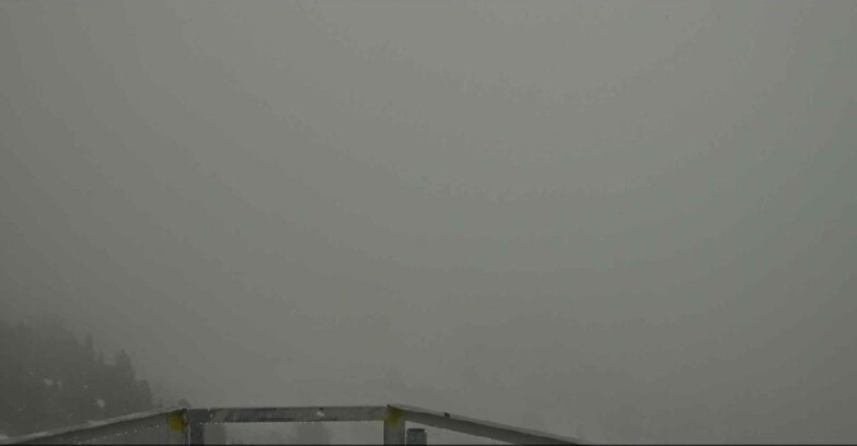 Webcam Alpe-Cermis - Prà Fiorì 