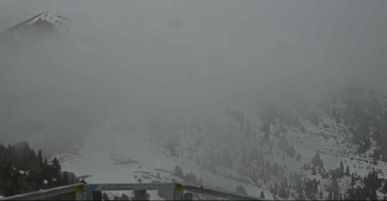 Webcam Alpe Cermis  - Prà Fiorì Val di Fiemme