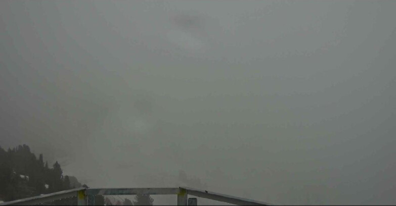 Webcam Alpe-Cermis - Prà Fiorì 