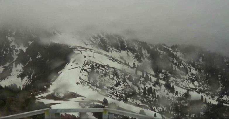 Webcam Альпе-Чермис  - Prà Fiorì Val di Fiemme