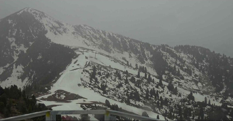 Webcam Альпе-Чермис  - Prà Fiorì Val di Fiemme