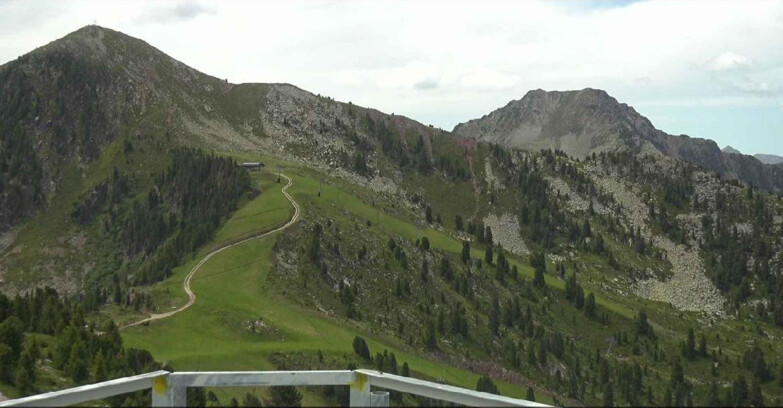 Webcam Альпе-Чермис  - Prà Fiorì Val di Fiemme