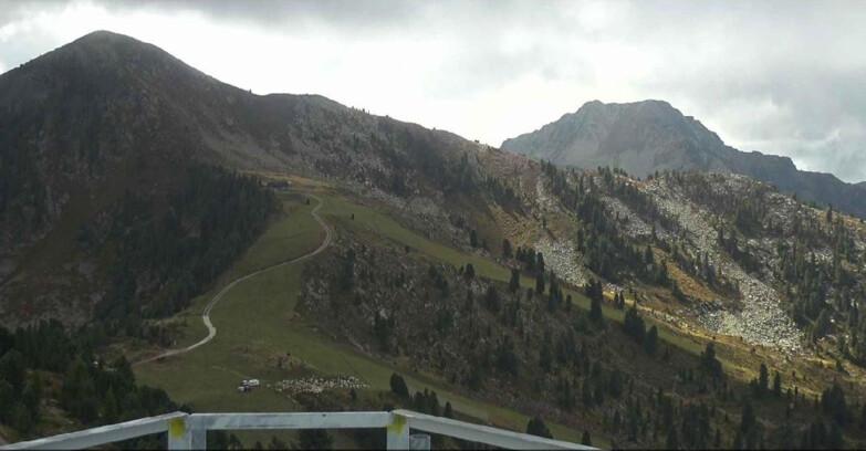 Webcam Alpe Cermis  - Prà Fiorì Val di Fiemme