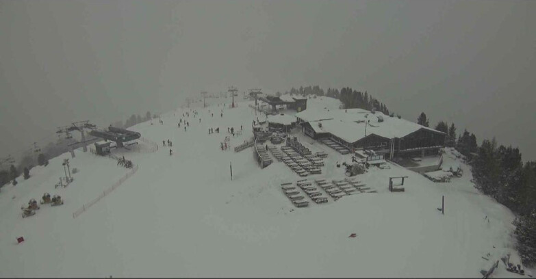 Webcam Alpe-Cermis - Il Pajon