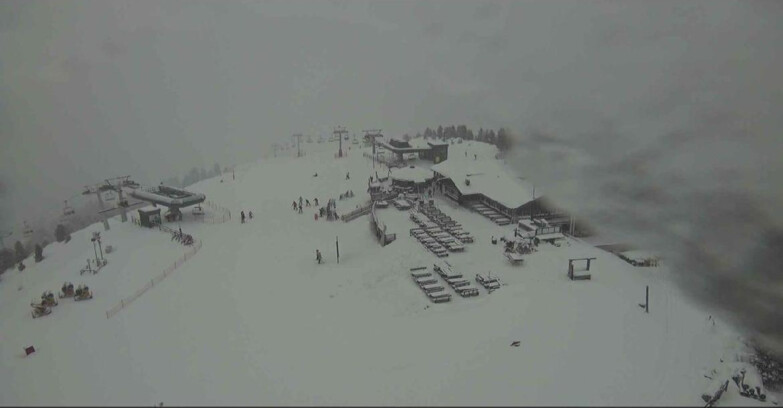 Webcam Alpe-Cermis - Il Pajon