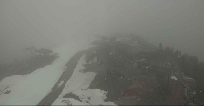 Webcam Alpe-Cermis - Il Pajon