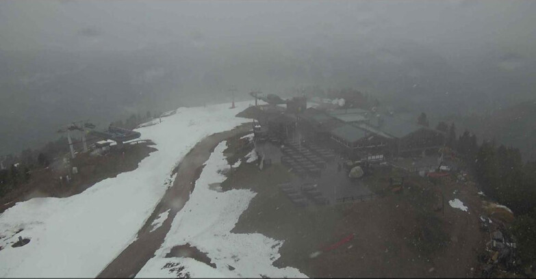 Webcam Alpe-Cermis - Il Pajon