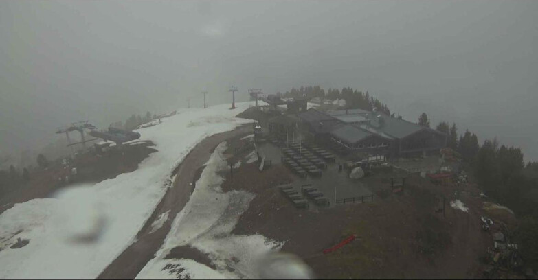 Webcam Alpe-Cermis - Il Pajon