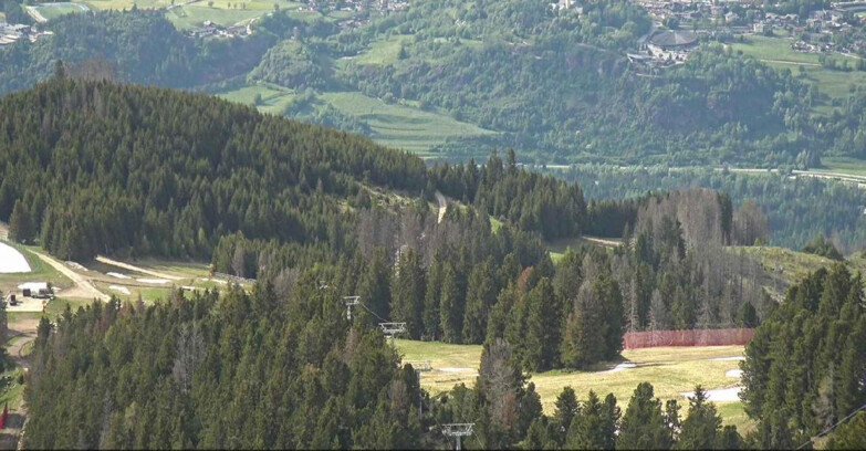 Webcam Alpe Cermis - Seggiovia Lagorai