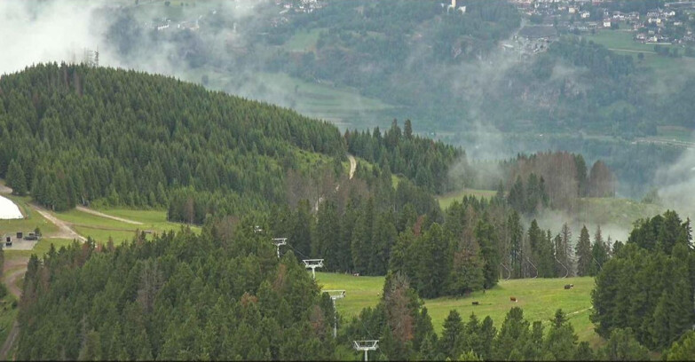 Webcam Alpe Cermis - Seggiovia Lagorai