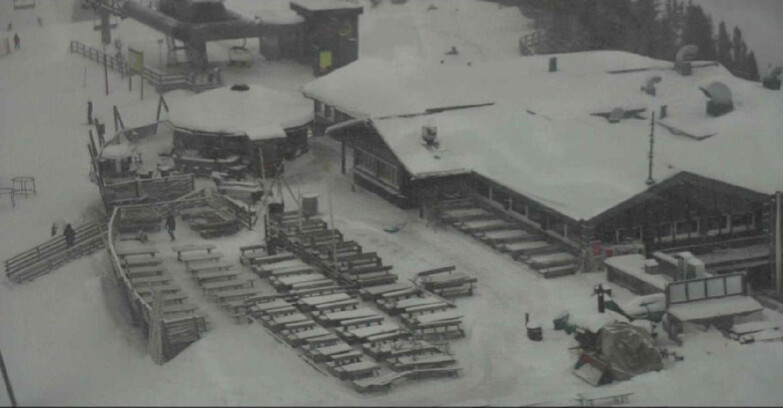 Webcam Alpe-Cermis - Seggiovia Costabella