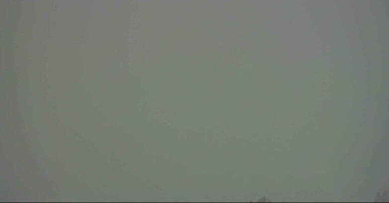 Webcam Alpe-Cermis - Seggiovia Costabella